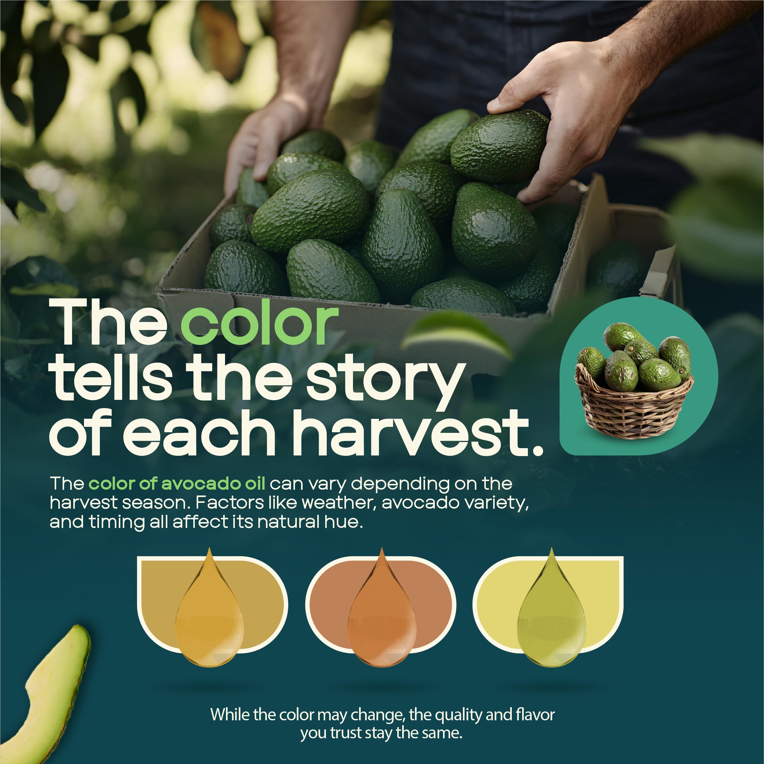 AVO avocado oil neutral flavor blends into dressings and sauces