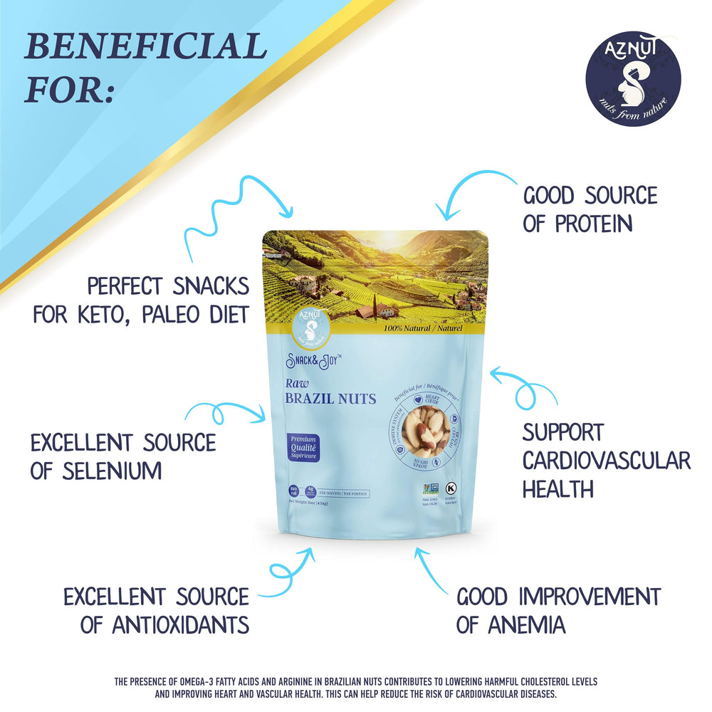 AZNUT Brazil Nuts protein-packed bite, suitable for workouts.