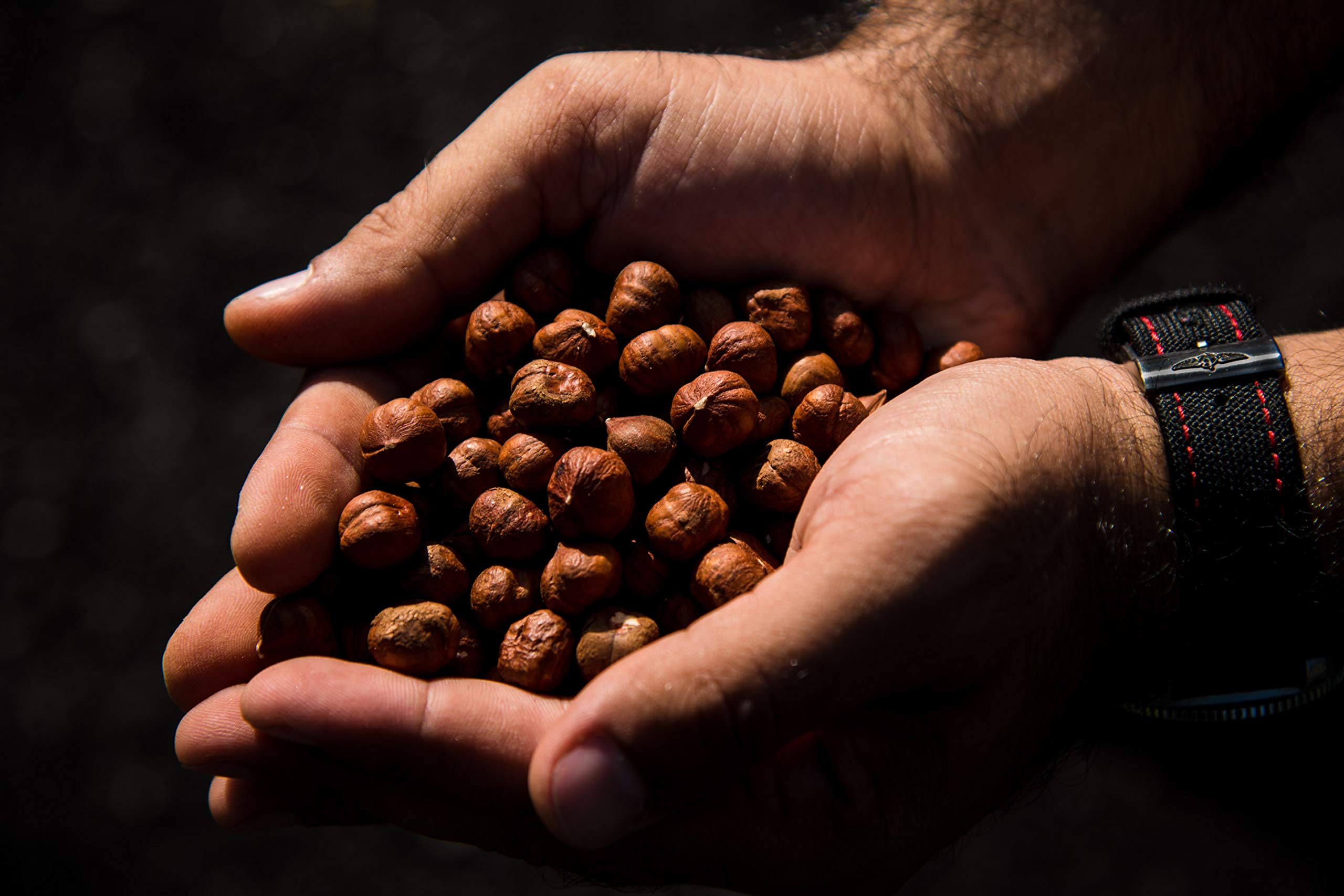 AZNUT hazelnuts kosher certified suitable for diverse diets.