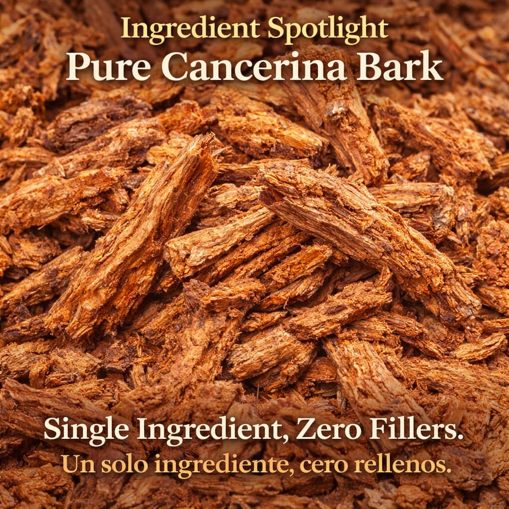 Calluna vulgaris leaf detail from the Cancerina blend showing natural origin