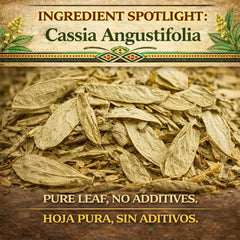 B-Experts Senna Leaf Tea dried leaves close-up highlighting natural quality