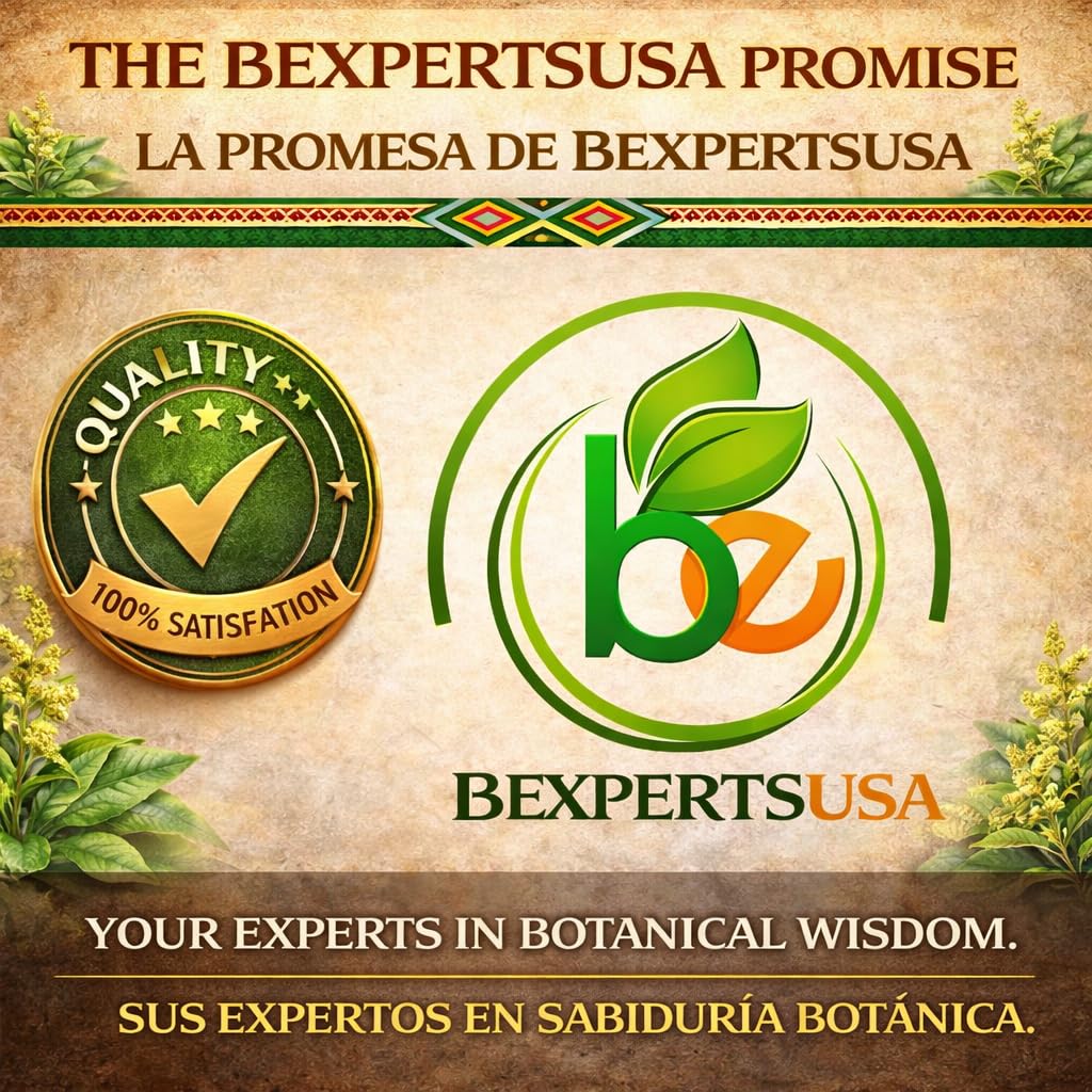 B-Experts Senna Leaf Tea Mexico sourcing highlights trusted farms