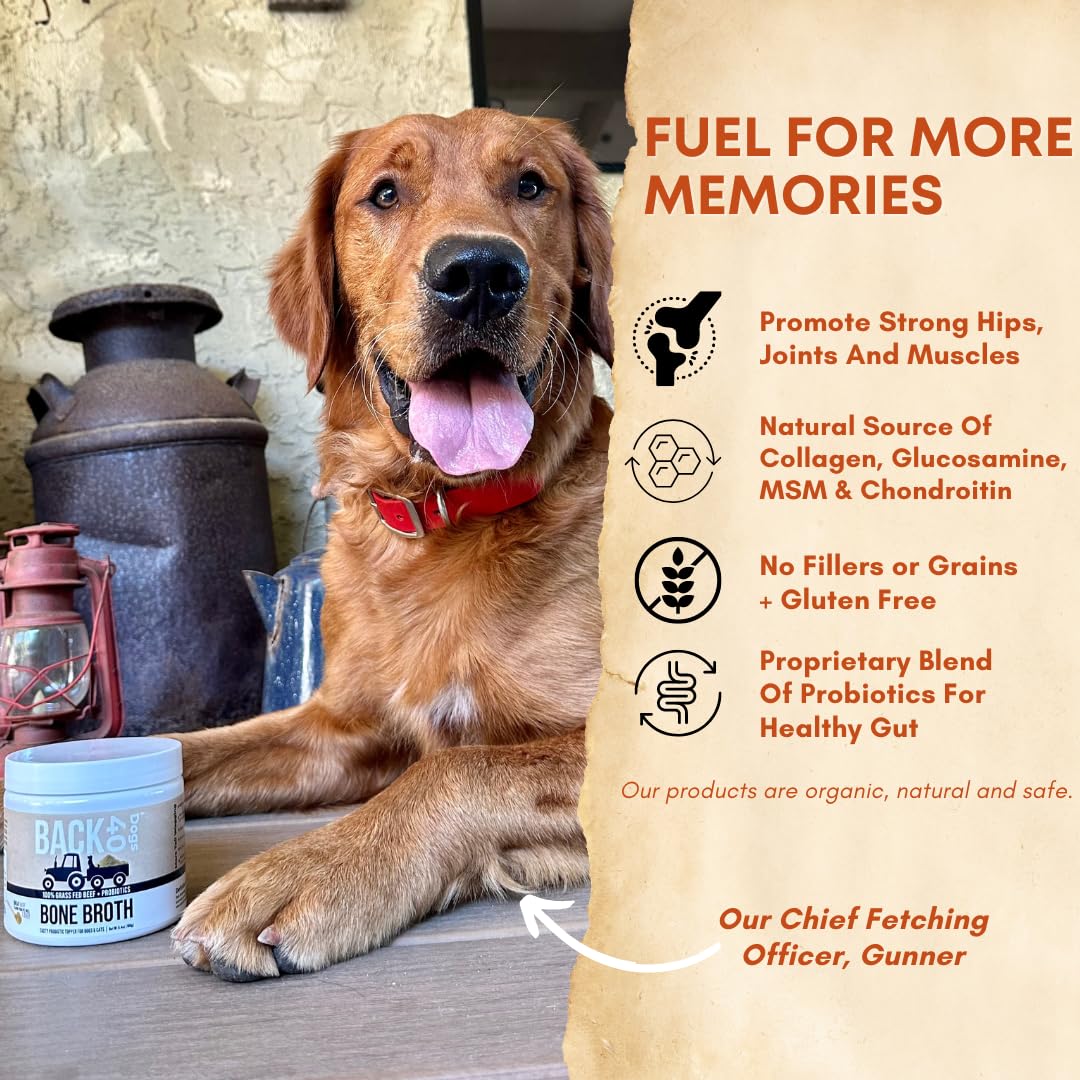 Back 40 Dogs immune-support topping for daily dog nutrition