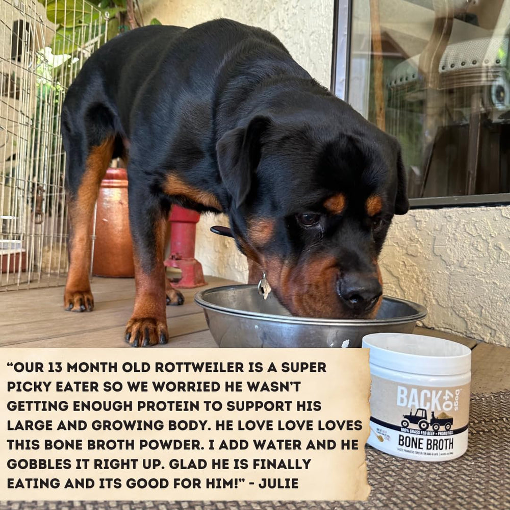 Back 40 Dogs picky-eater friendly topper boosts meal appeal