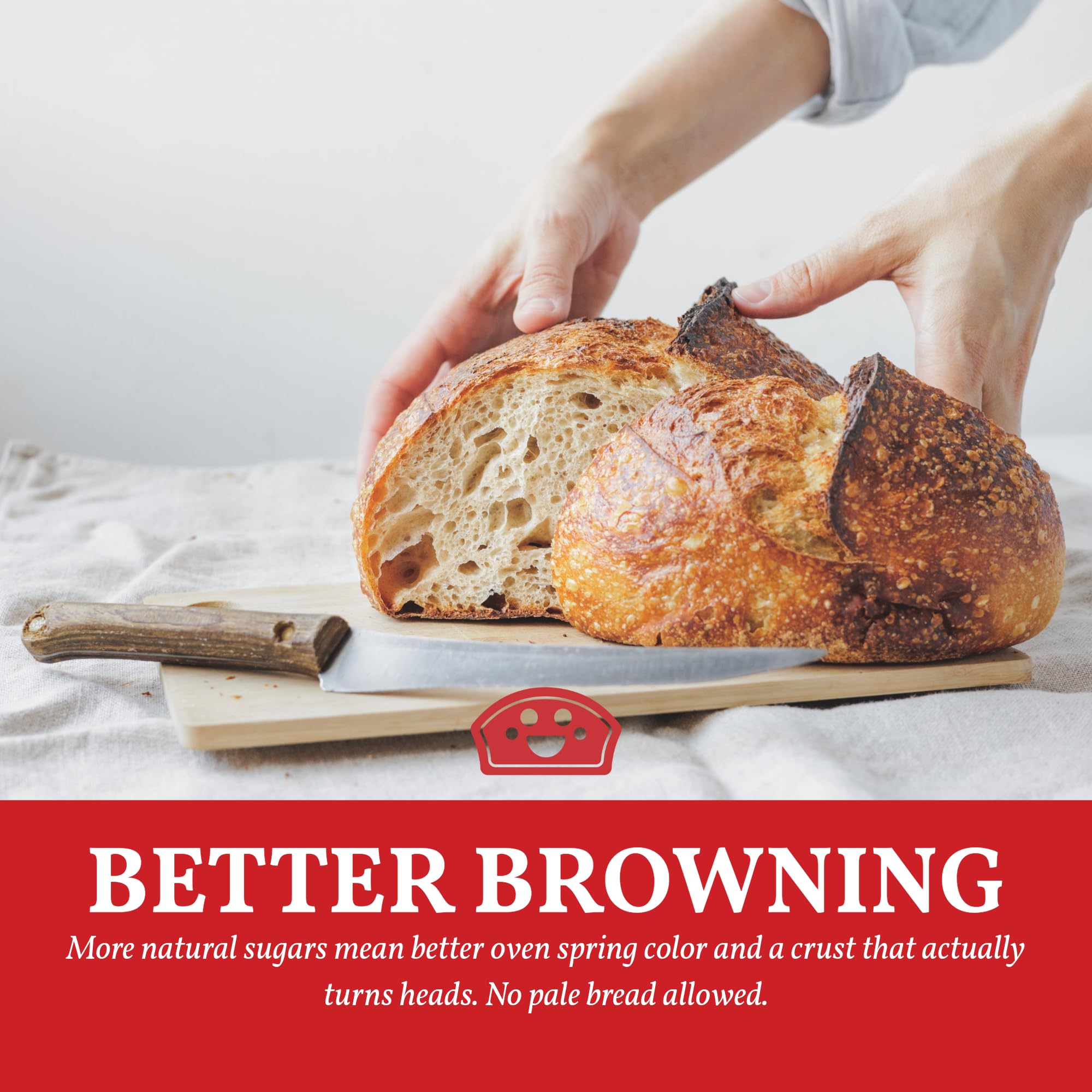Bakers Club Barley Malt Syrup glaze topping shows versatile finishing touch.
