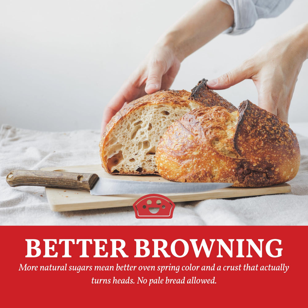 Bakers Club Barley Malt Syrup glaze topping shows versatile finishing touch.