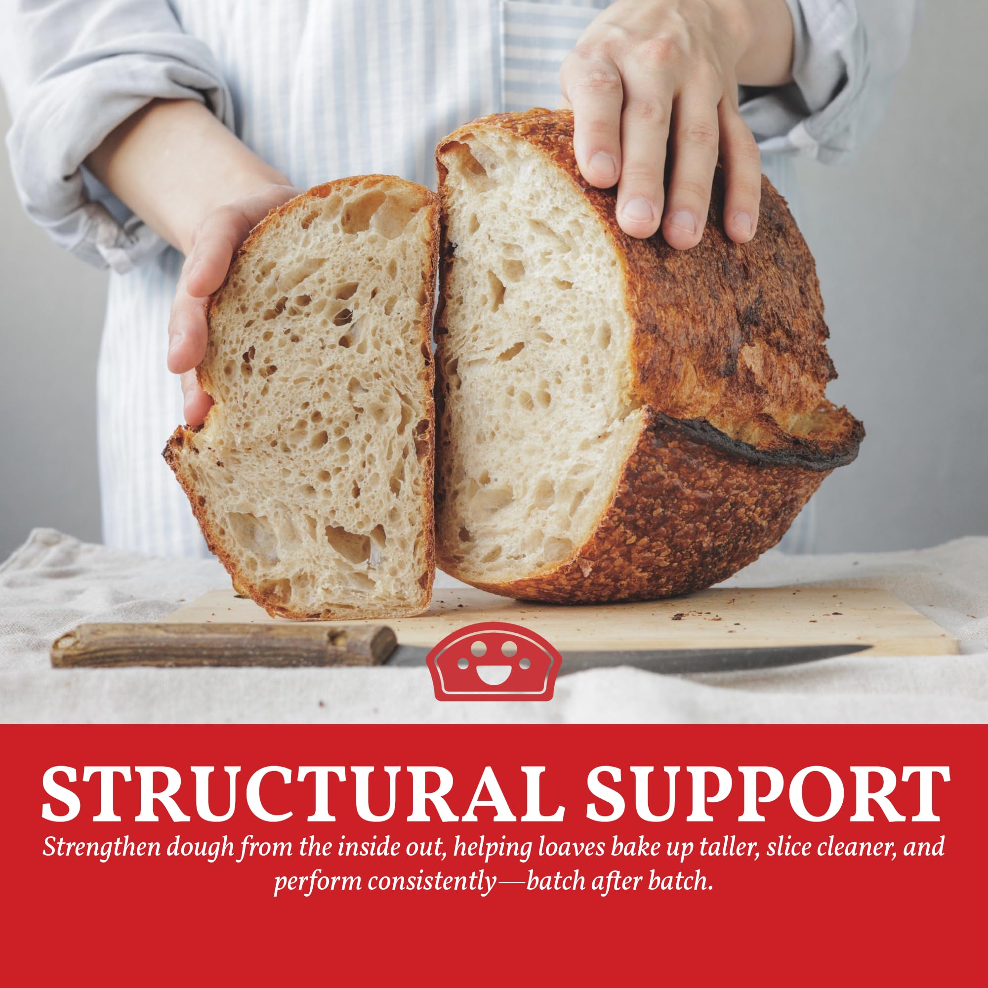 BAKERS CLUB Vital Wheat Gluten pizza-dough rises with enhanced oven spring