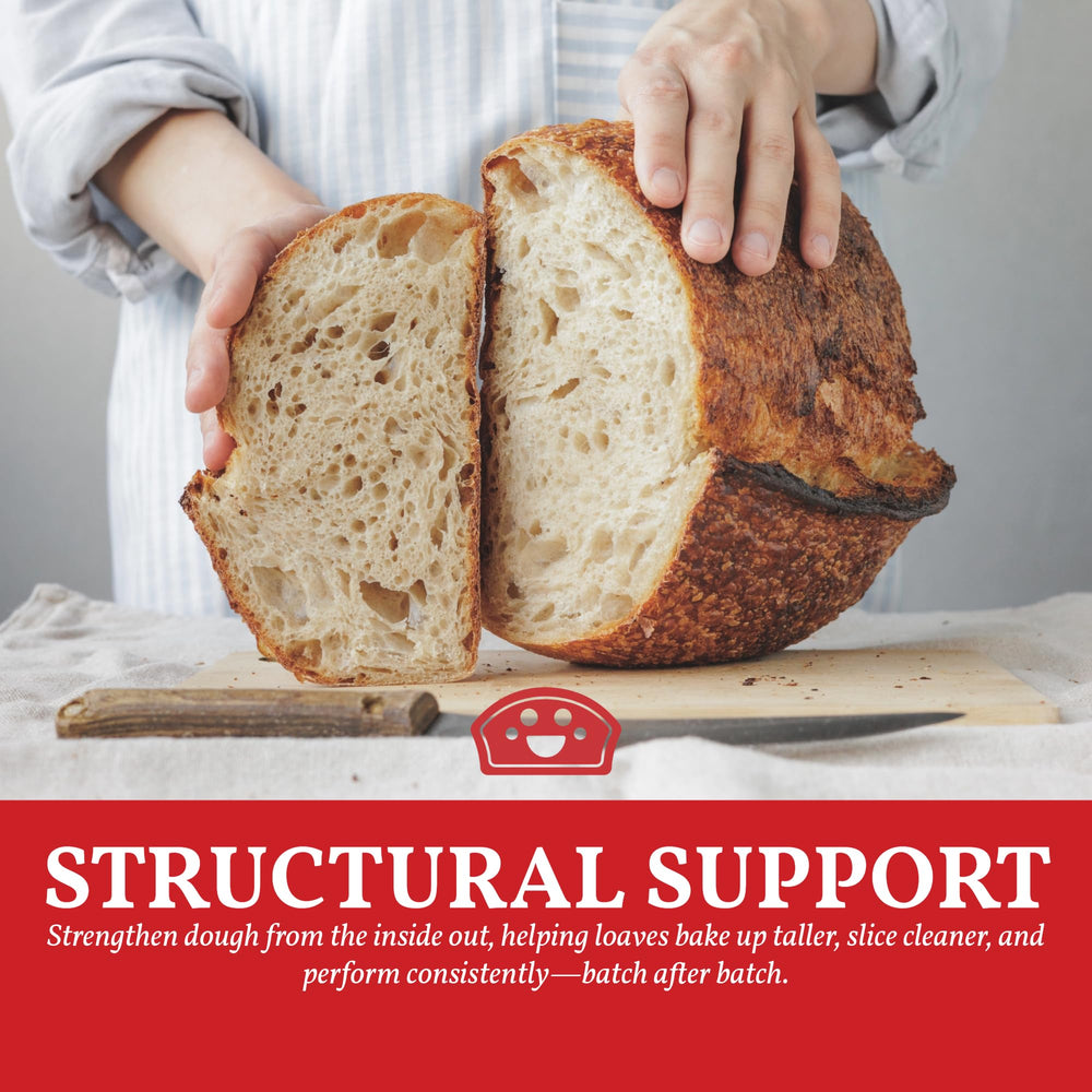 BAKERS CLUB Vital Wheat Gluten pizza-dough rises with enhanced oven spring