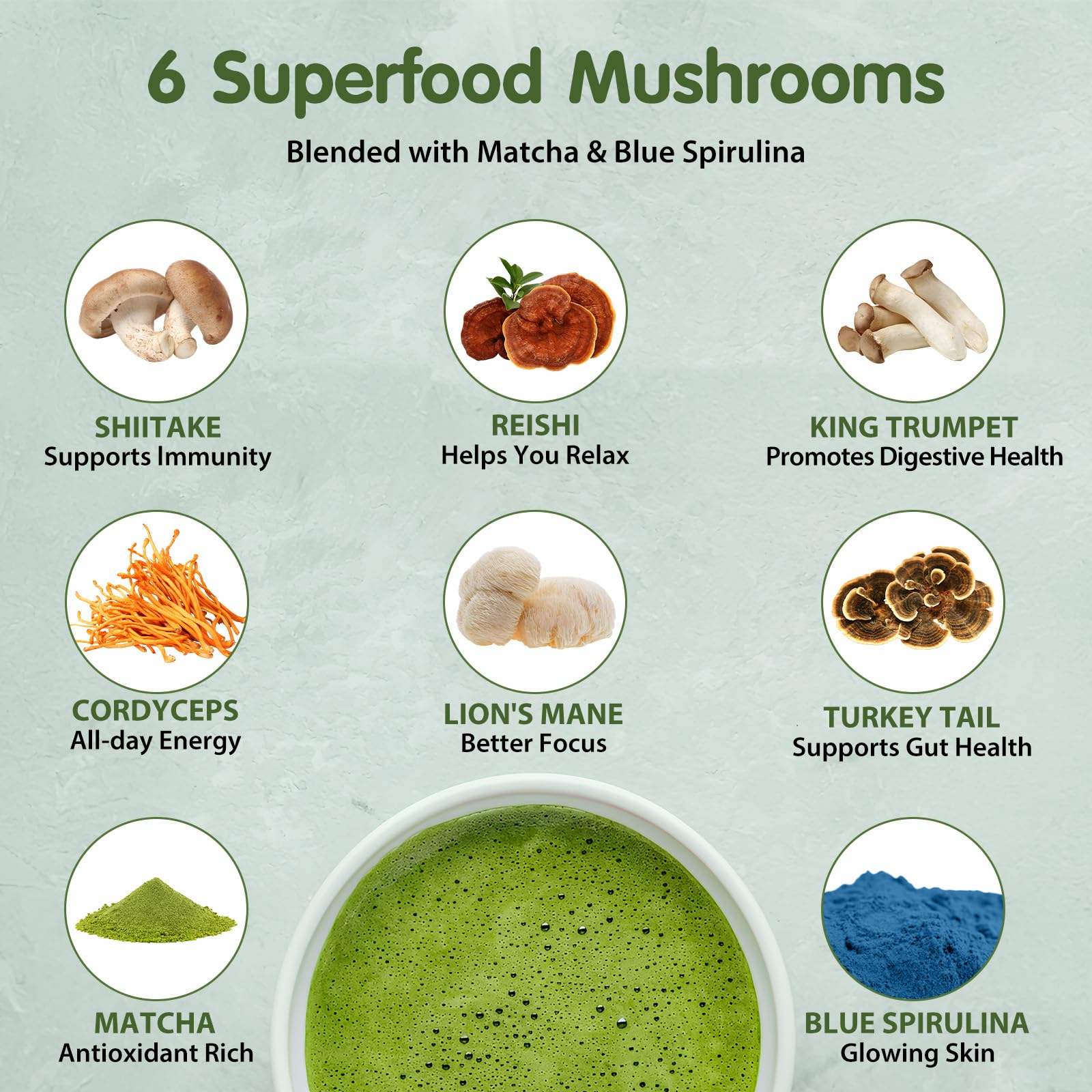 Balincer Mushroom Variety Collection highlights six adaptogenic mushrooms for focus.
