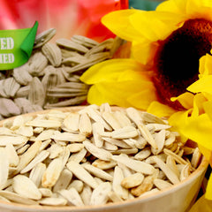 Baraka seeds packed for lunch, a quick protein-rich bite at work or school.