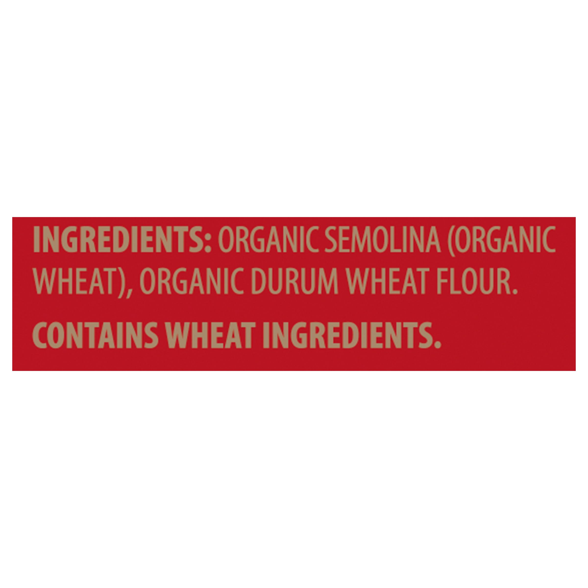 Barilla Al Bronzo Mezzi Rigatoni with textured grooves holding sauce