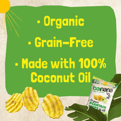 Barnana plantains fried in coconut oil close-up showing simple ingredients