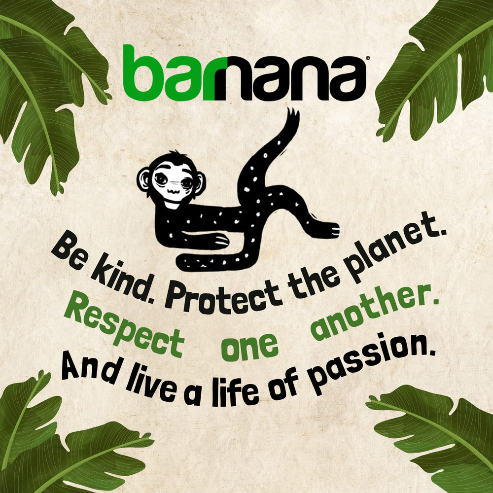 Barnana USDA Organic seal on chips pack