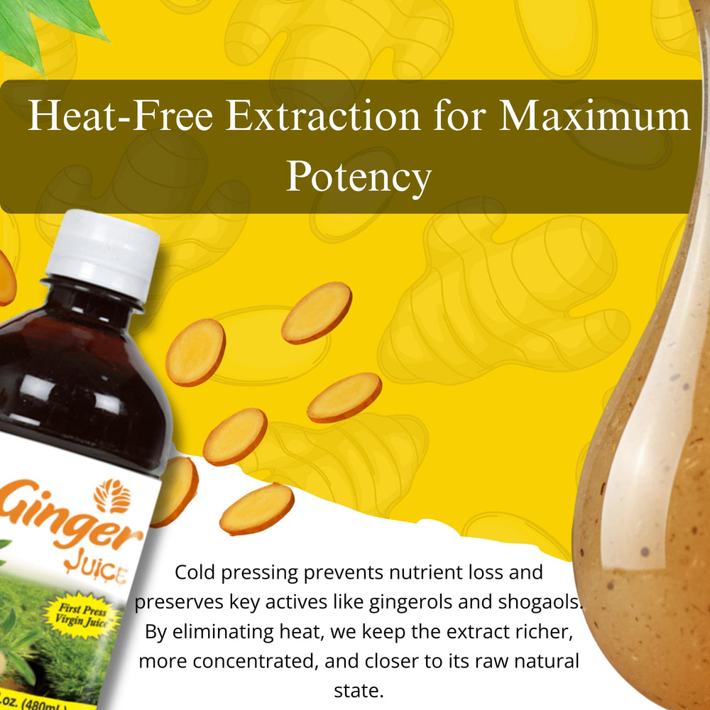 Basic Ayurveda Ginger Juice detox shot bottle for quick vitality boost.