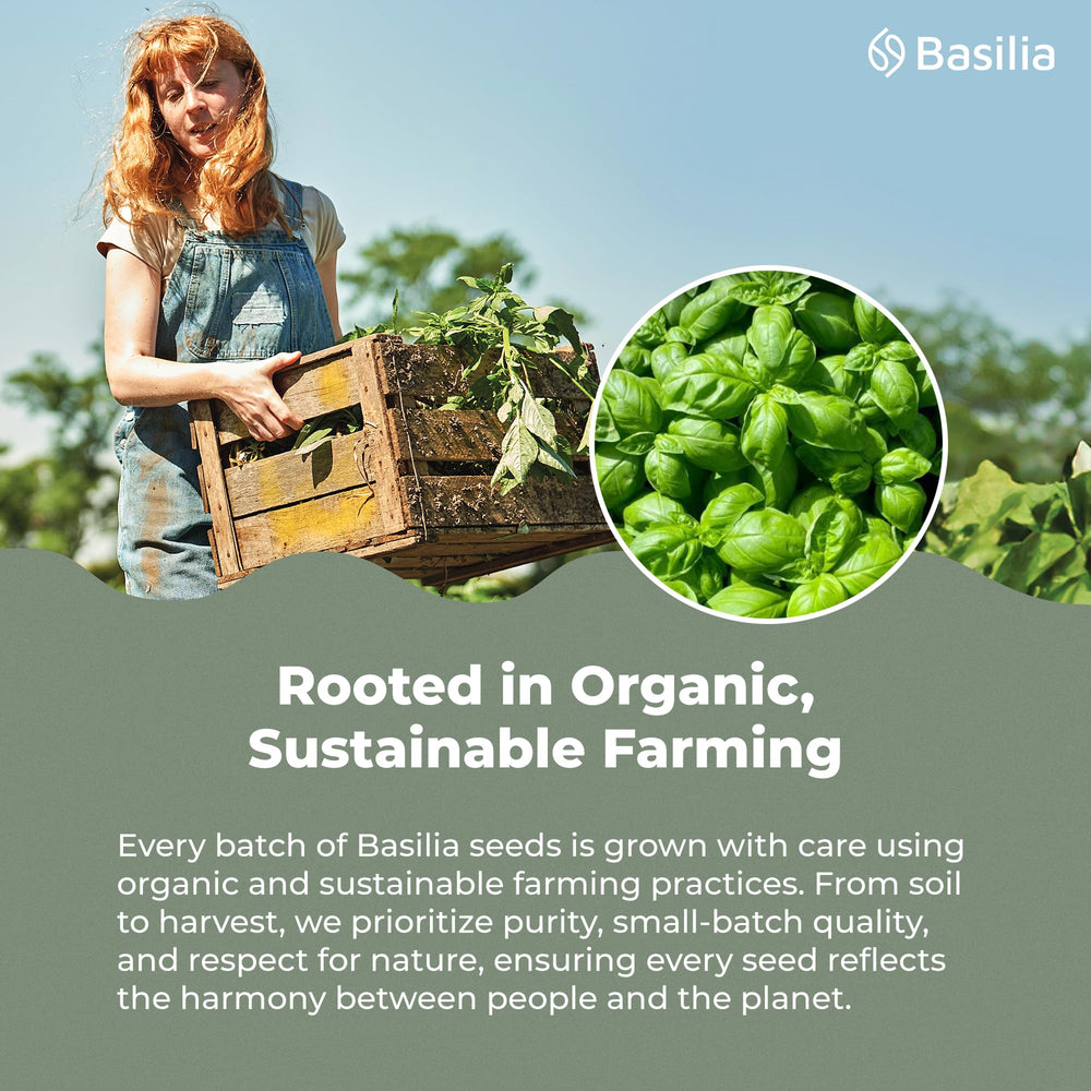 Basilia Seeds in lemonade, providing body and nutrition without altering flavor