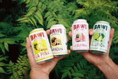 Bawi Sparkling Agua Fresca variety pack display for gatherings