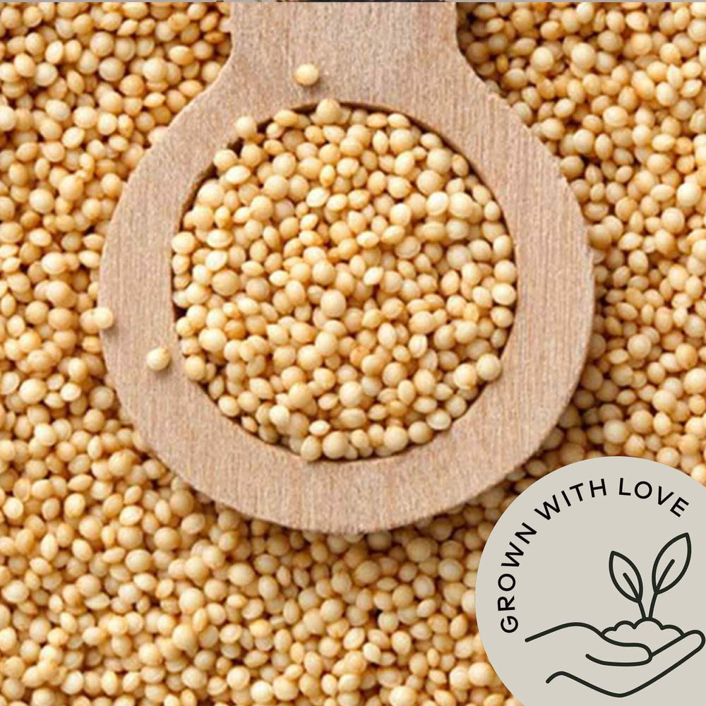 Be Still Farms amaranth grain cooked porridge showing nutty texture.
