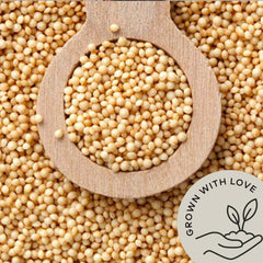 Be Still Farms amaranth grain cooked porridge showing nutty texture.