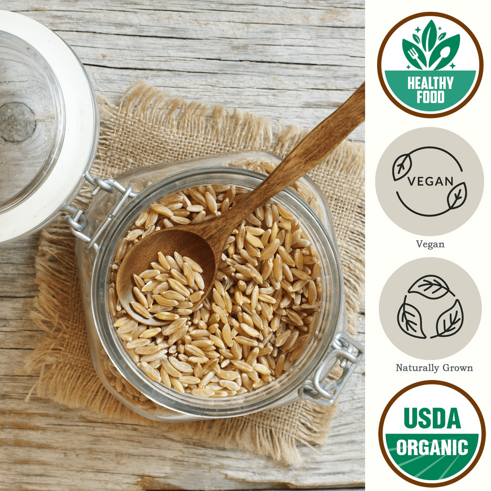 Be Still Farms Kamut wheat berries idea for hearty meals