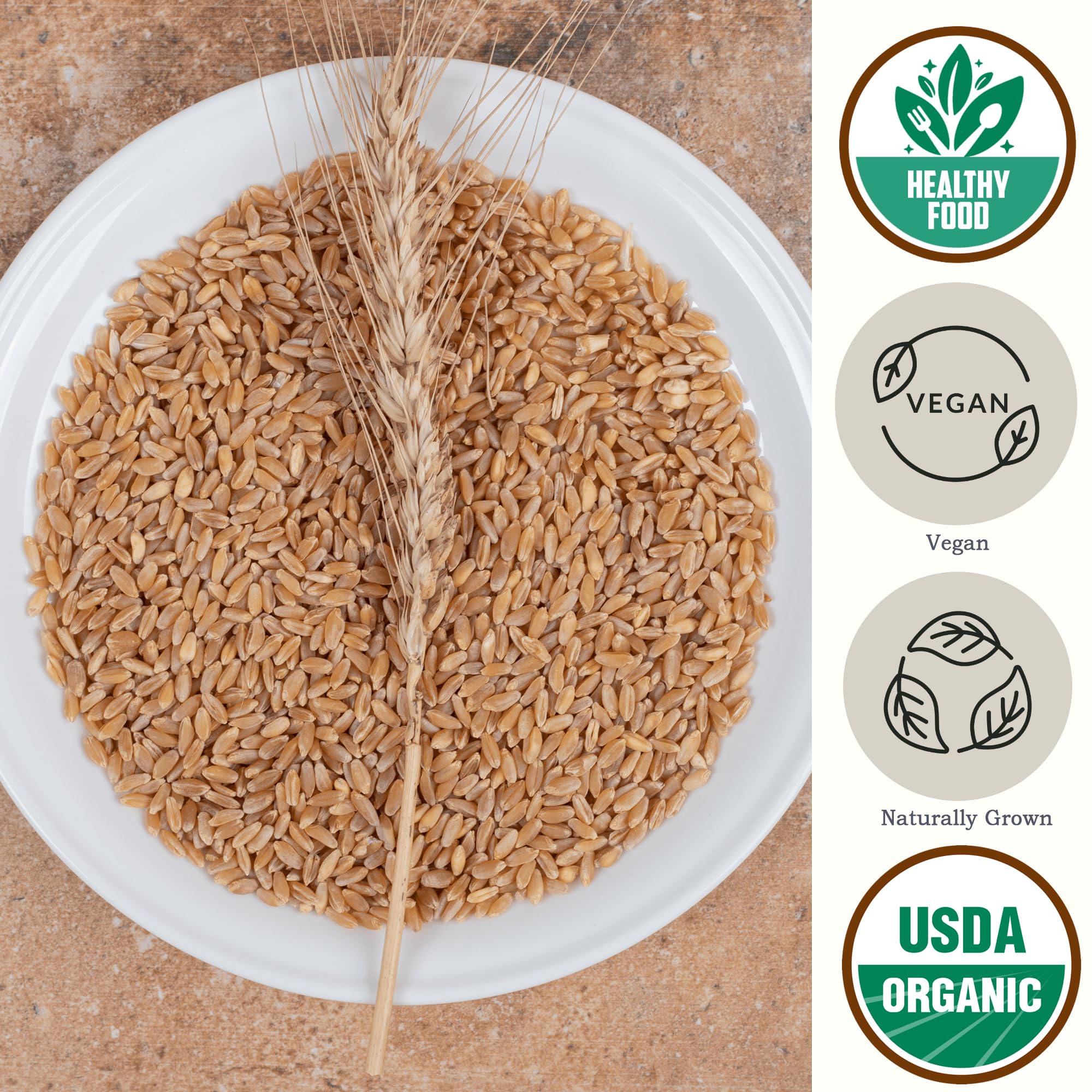 Be Still Farms Organic Hulled Barley porridge-ready setup, steaming pot suggests a hearty morning meal.