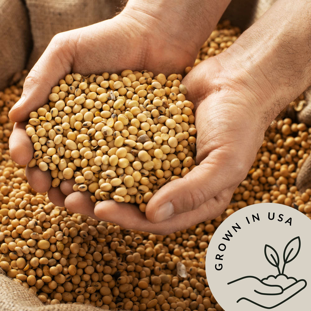 Be Still Farms soybeans used to make creamy soy milk