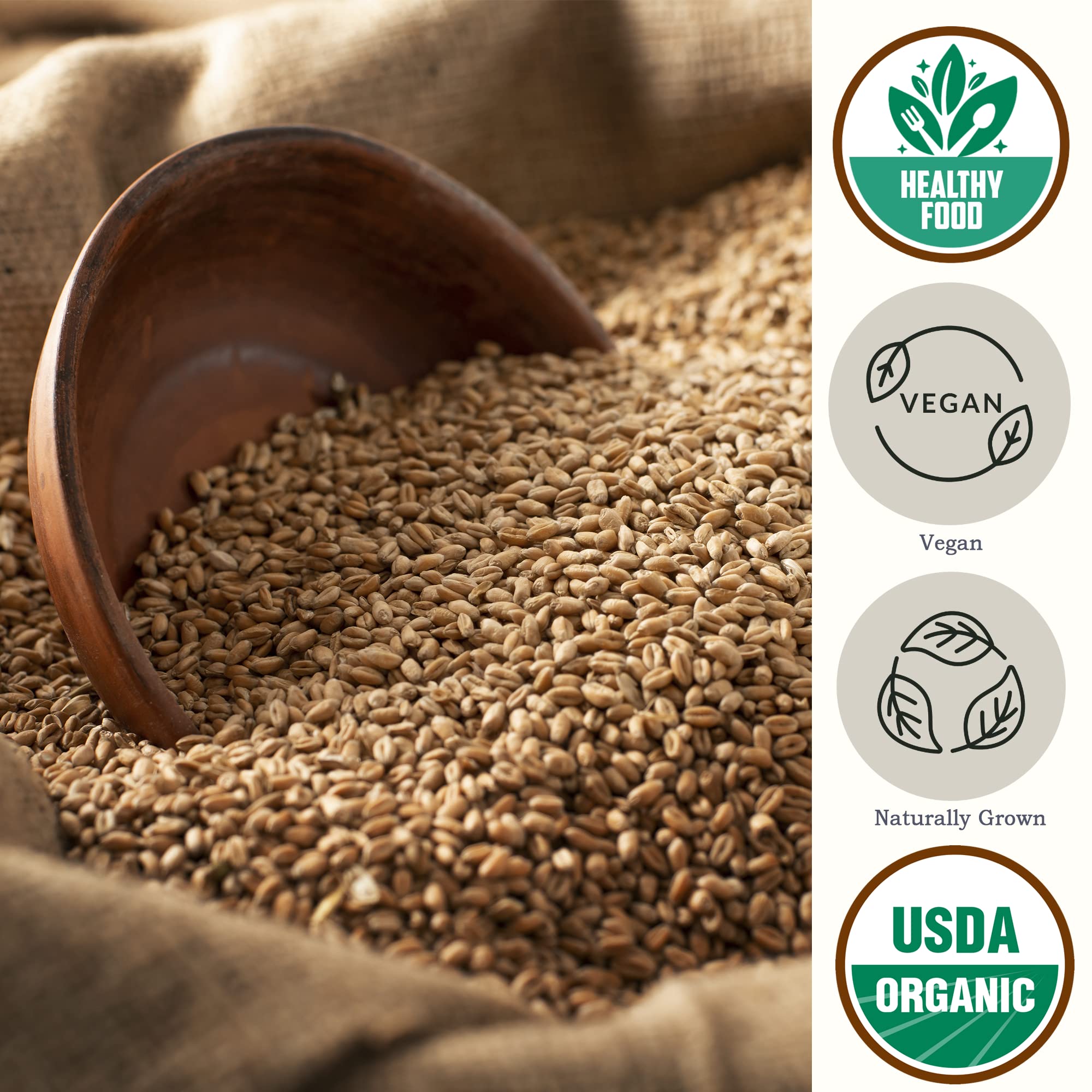 Be Still Farms wheat berries ground into flour for fresh breads