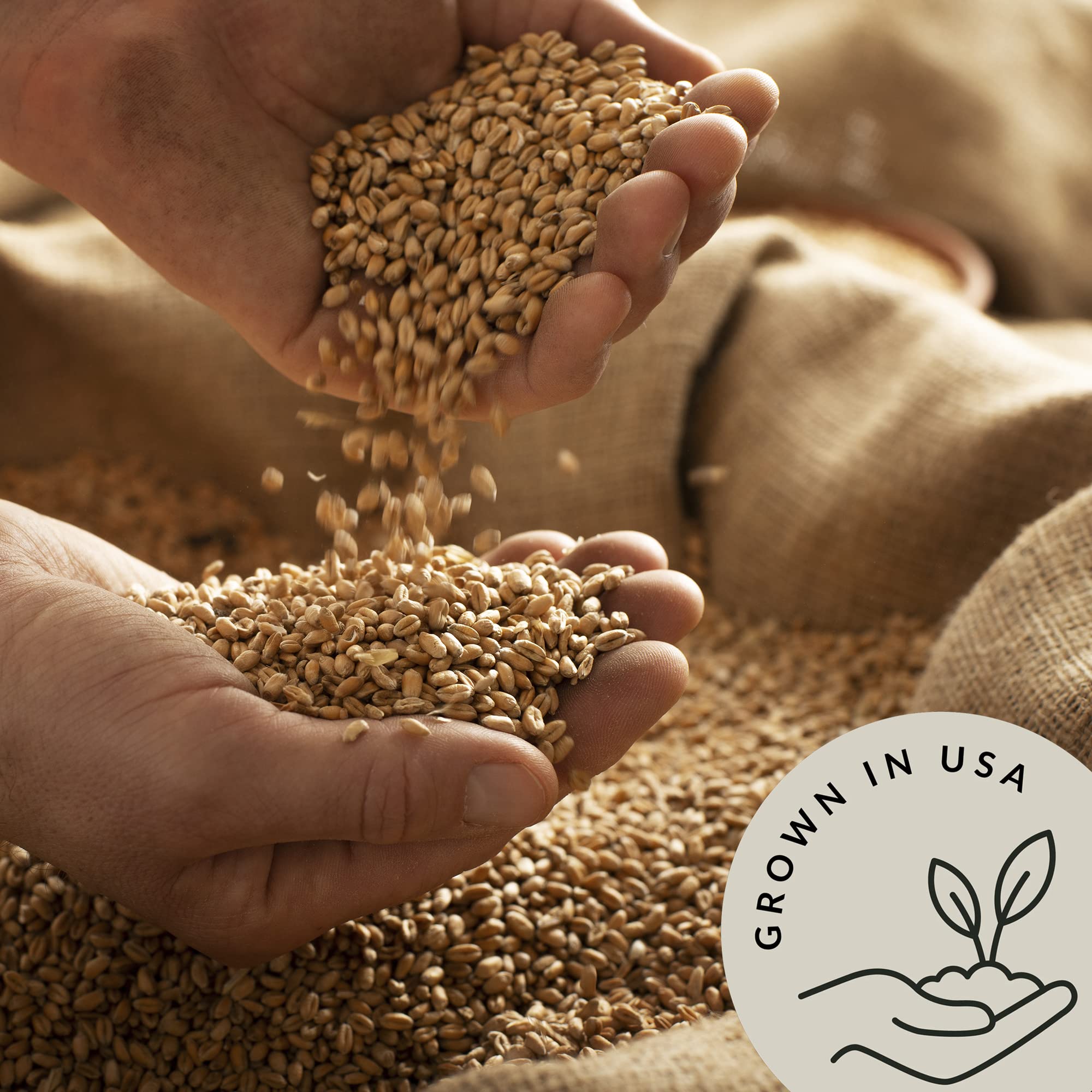 Be Still Farms wheat berries in a soup bowl for added texture