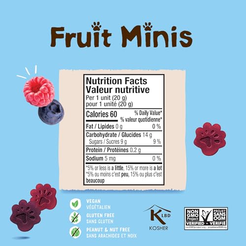 BEAR Real Fruit Snack Minis 18-pack ready for backpacks and school lunches.