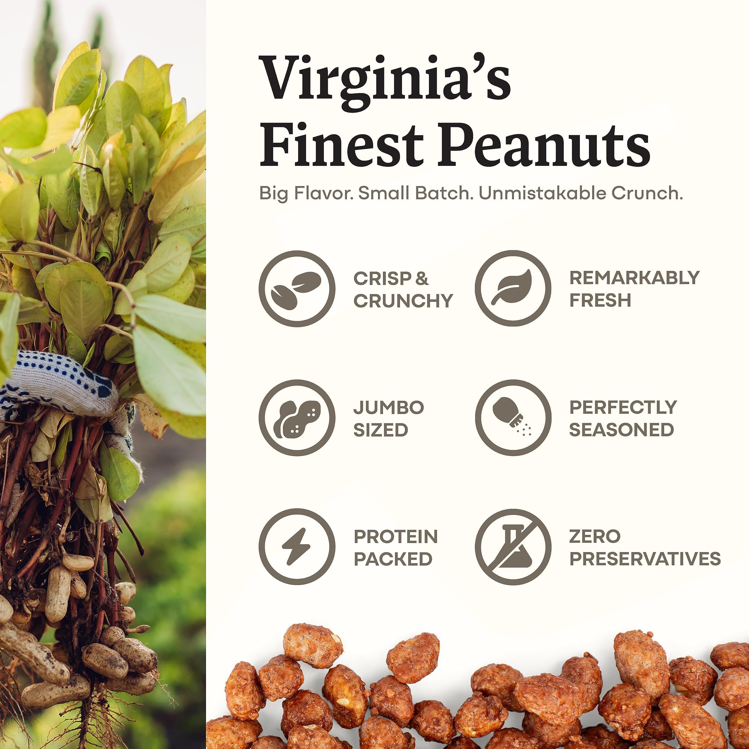 Belmont Peanuts crunchy salted sweet peanut bites ideal for a quick treat.