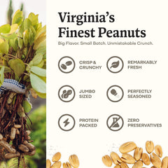 Belmont Peanuts jumbo-crunch Virginia peanuts deliver extra large texture for munching anytime.