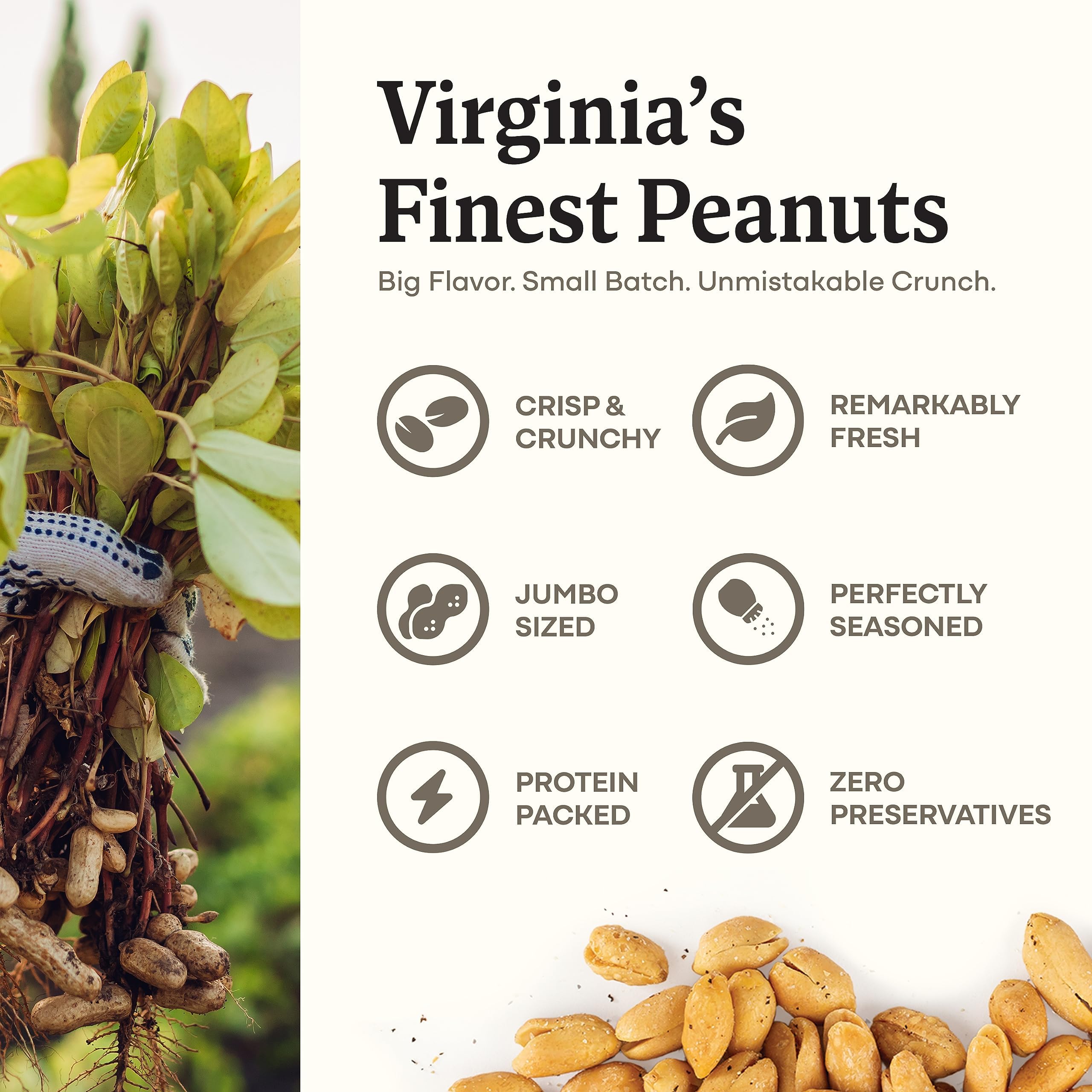 Belmont Peanuts large, crunchy kernels reflect fresh-roasted quality