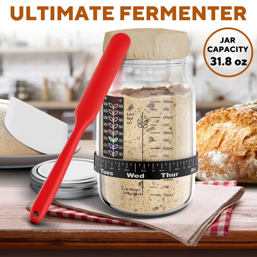 Benicci Step-by-Step Recipe guides beginners to craft a starter confidently