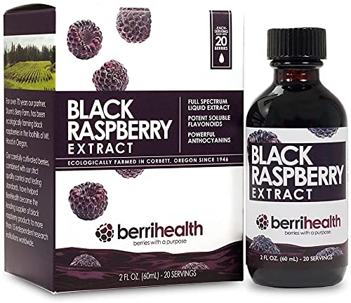 BerriHealth Oregon black raspberries in a bowl, highlighting antioxidant-rich fruit for daily wellness.