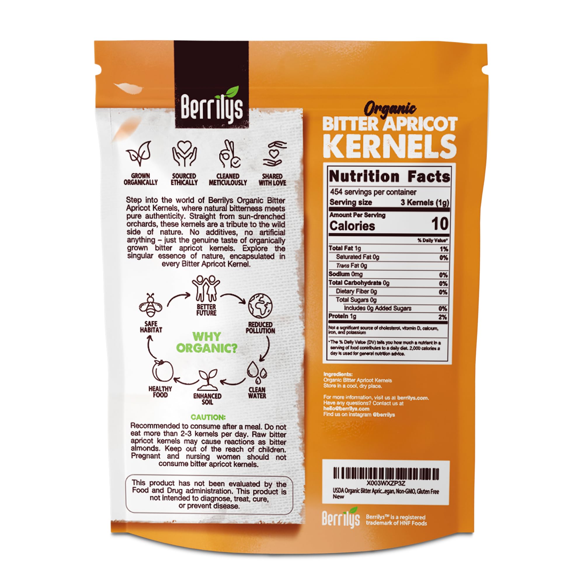 Berrilys bitter apricot kernel closeup showing texture and quality for gourmet snacks