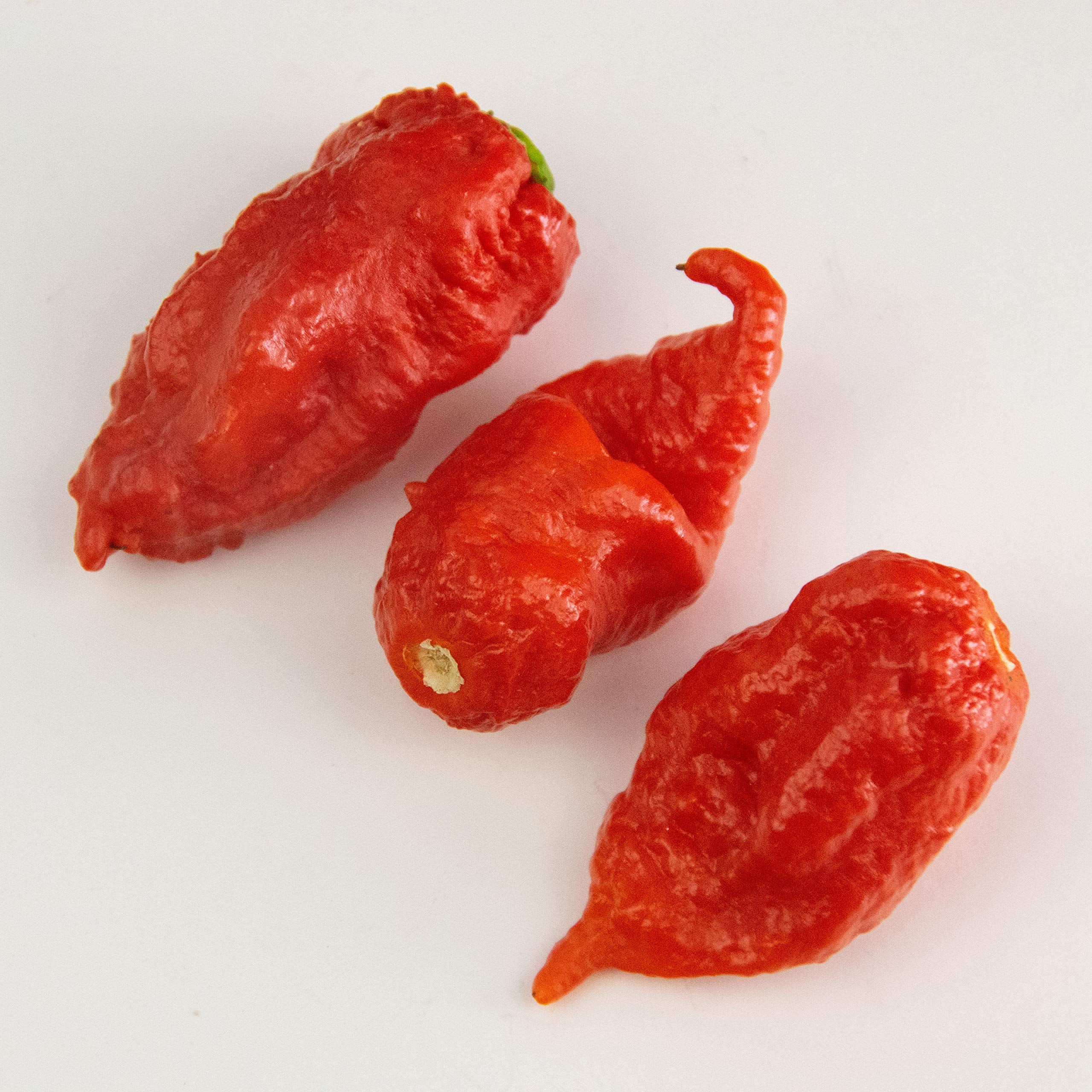 Bertie's Trinidad Scorpion Pepper Sauce jar with visible ingredients for bold cooking.