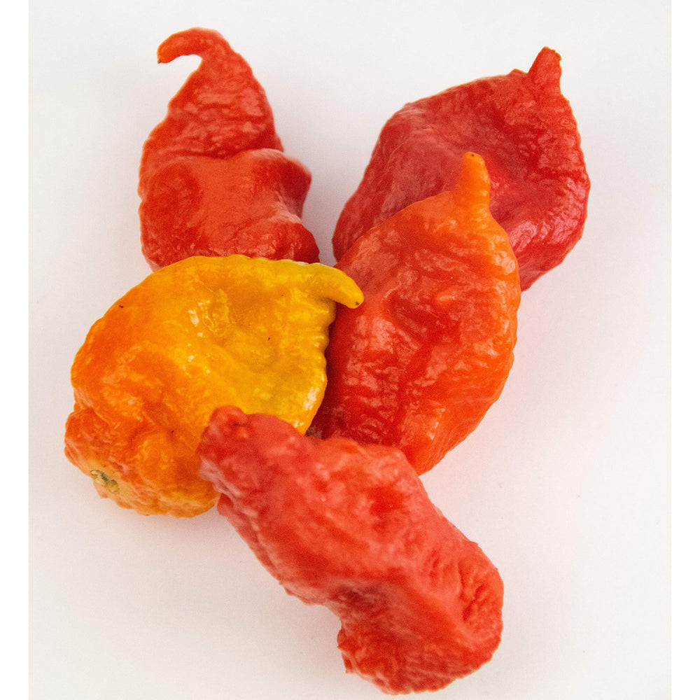 Bertie's Trinidad Scorpion Pepper Sauce spice level glow enhances grilled meats.