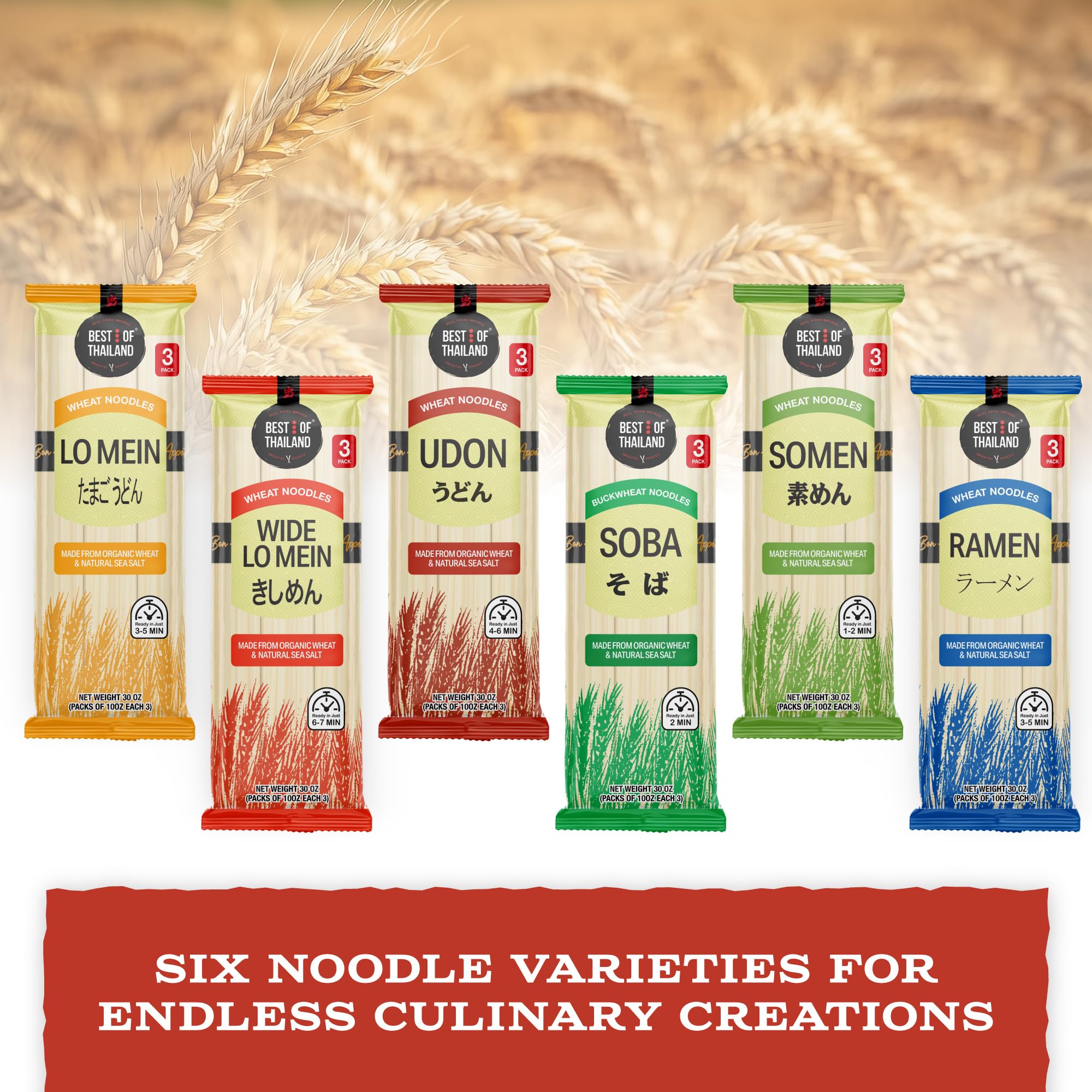 Best Of Thailand Noodles Udon serving idea photo suggests soup or stir-fry.