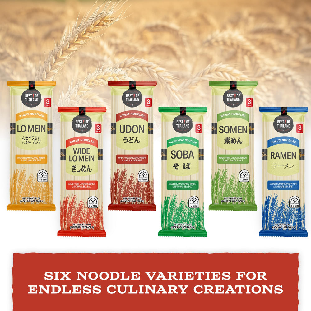 Best Of Thailand Noodles Udon serving idea photo suggests soup or stir-fry.