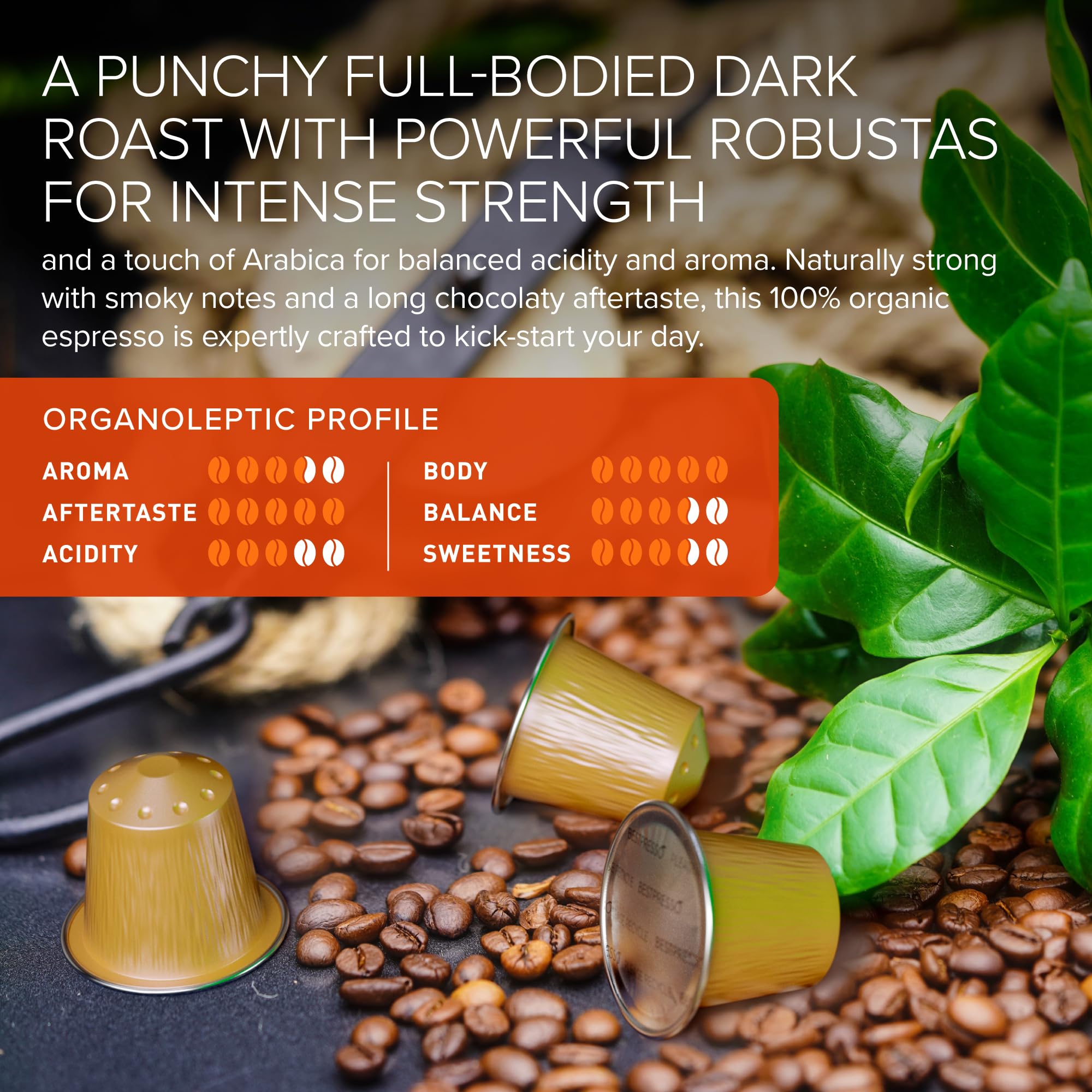 Bestpresso Arabica coffee pods closeup reveals rich crema potential.