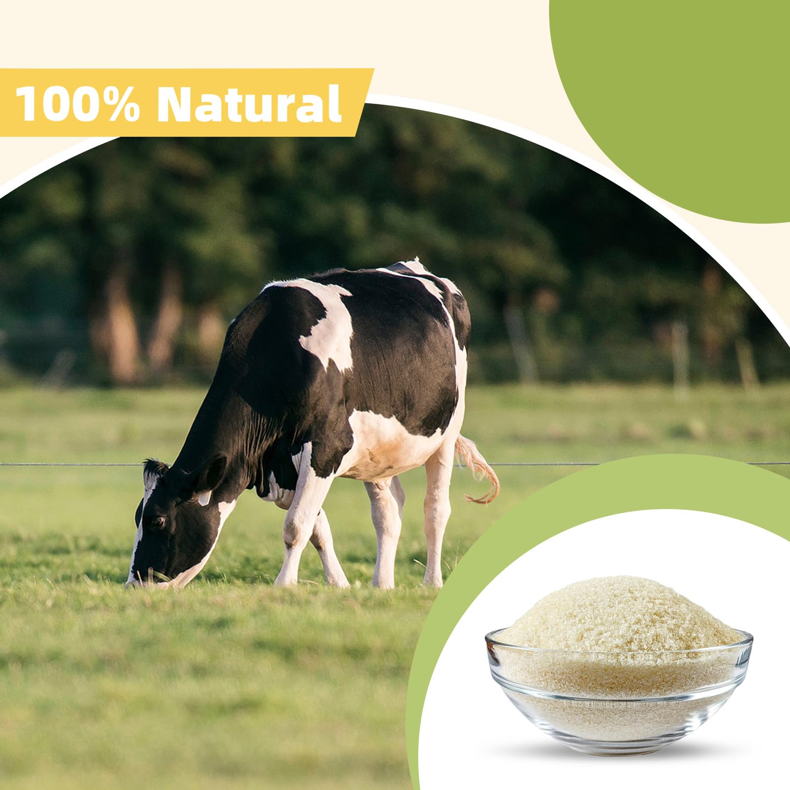 Besway gelatin used to make gummies and marshmallows with clean-label ingredients