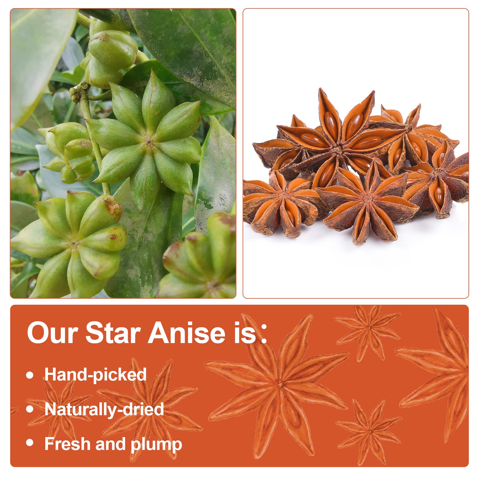 Besway star anise baking spice usage enhances braises and desserts
