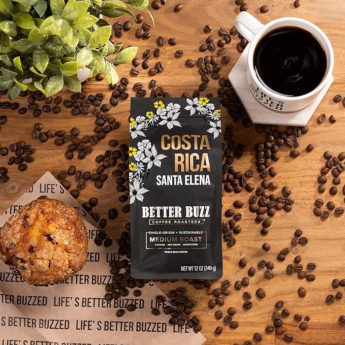 Better Buzz Costa Rica farm scene woman-owned—supports sustainable farming and community-focused production.
