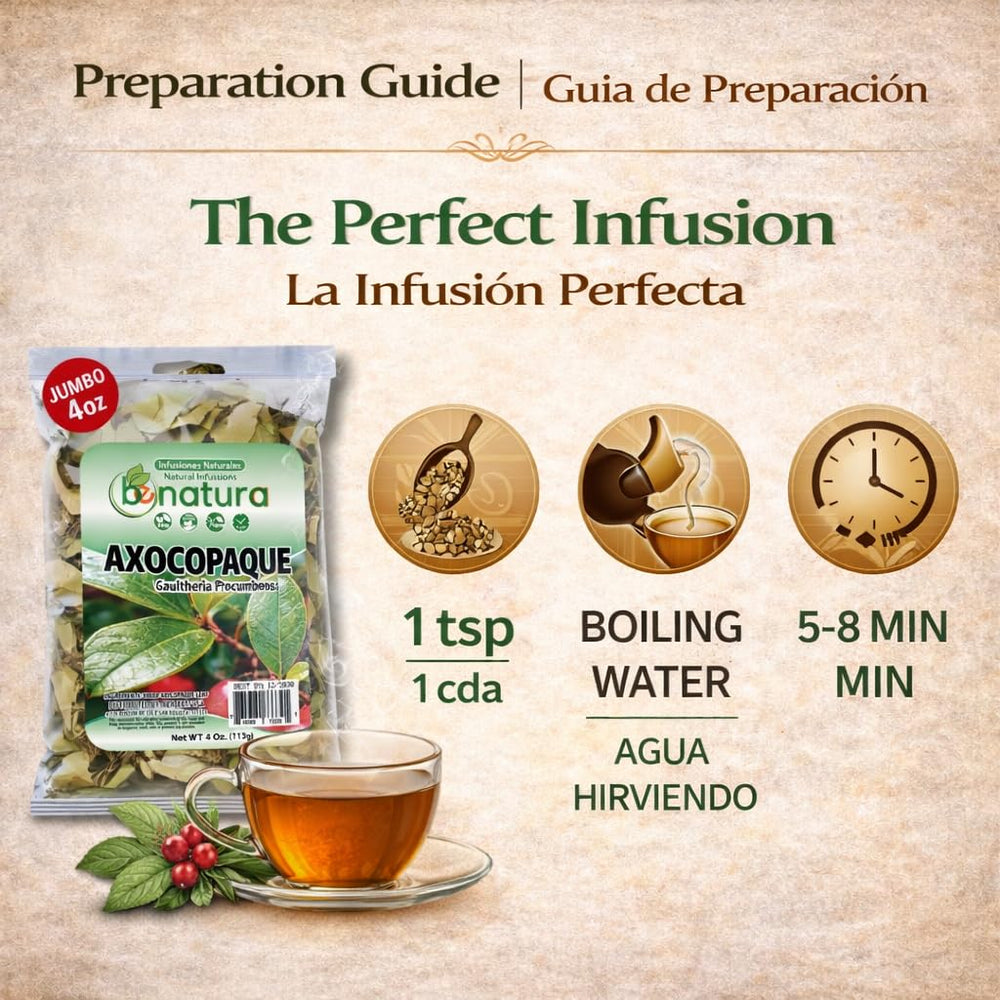 B-Experts Axocopaque tea cup steam captures a moment of calm and wellness