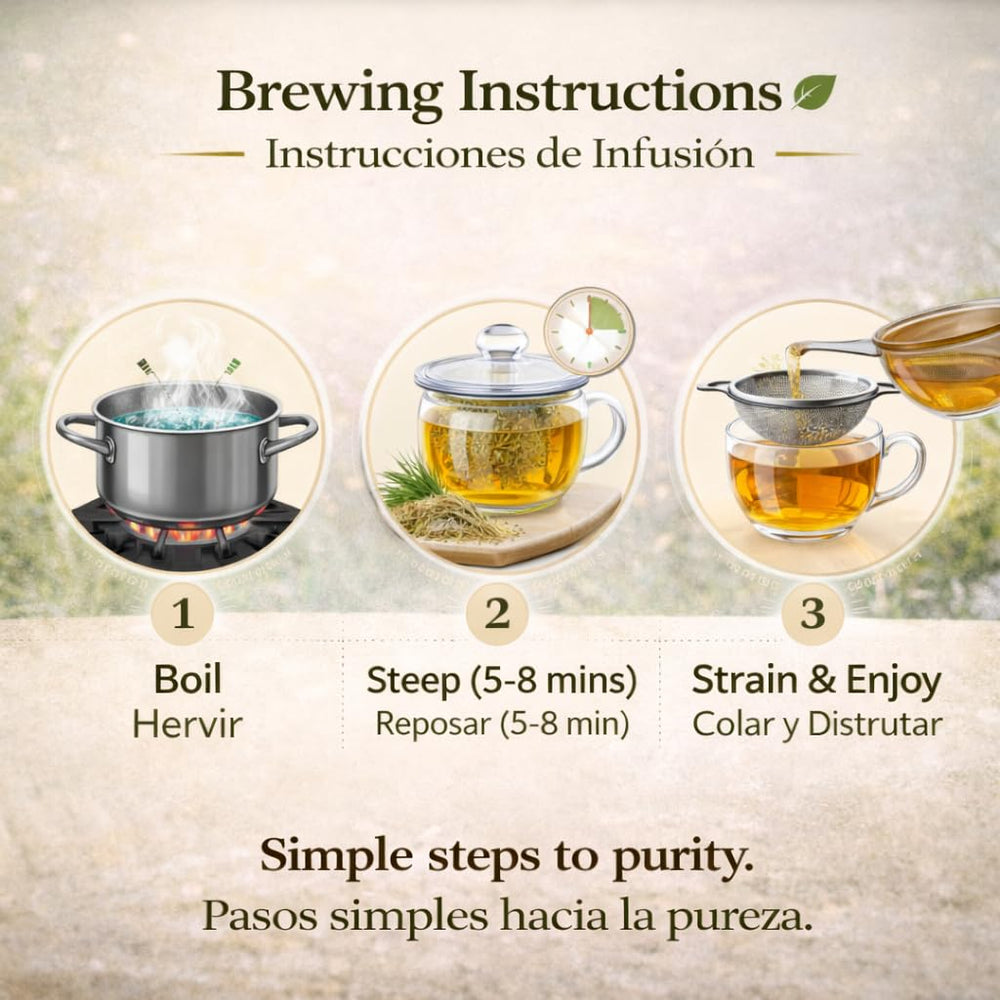 B-Experts Horsetail Tea brewed cup releases steam inviting a calming moment.