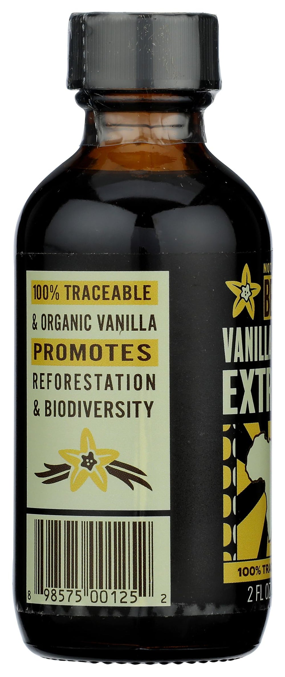 Beyond Good vanilla extract in a cozy kitchen scene inviting baking and experimentation