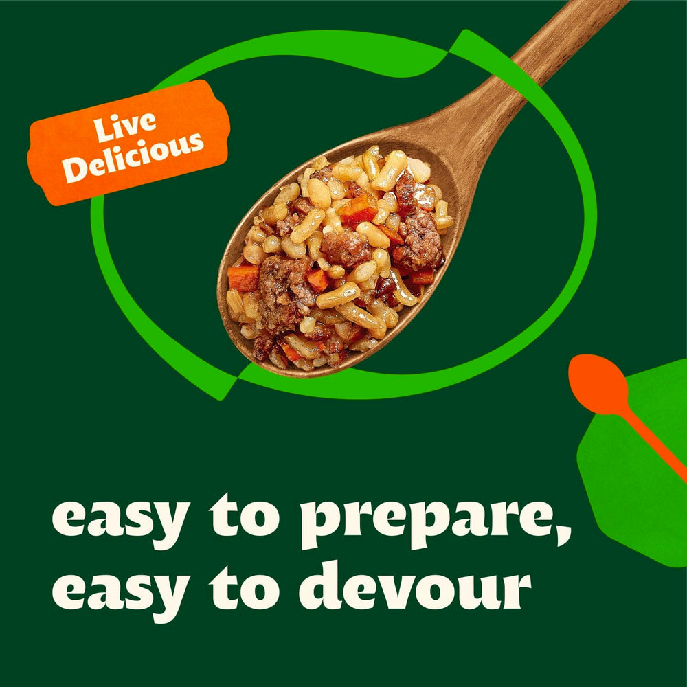 Bibigo Korean BBQ Flavor Fried Rice plated as a quick dinner option