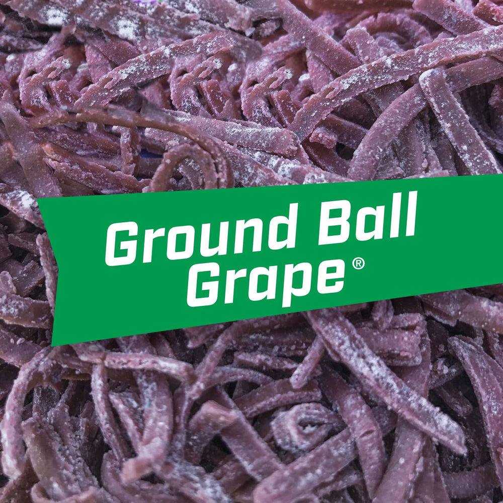 Dugout atmosphere with Big League Chew grape flavor during a game.