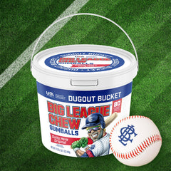 Team Rally Bucket keeps flavor ready for dugouts and picnics.