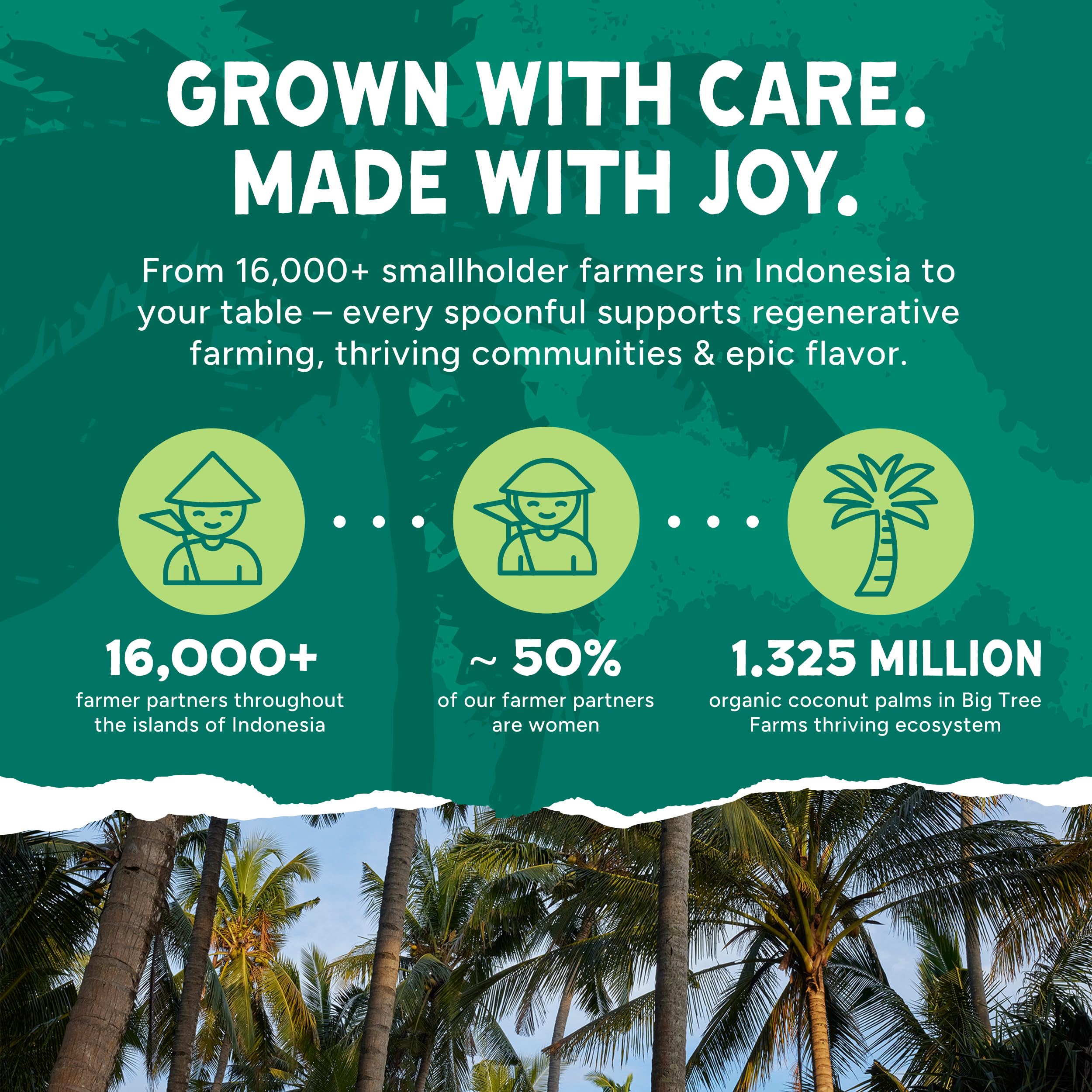Big Tree Farms Golden Coconut Sugar sustainable sourcing from coconut trees