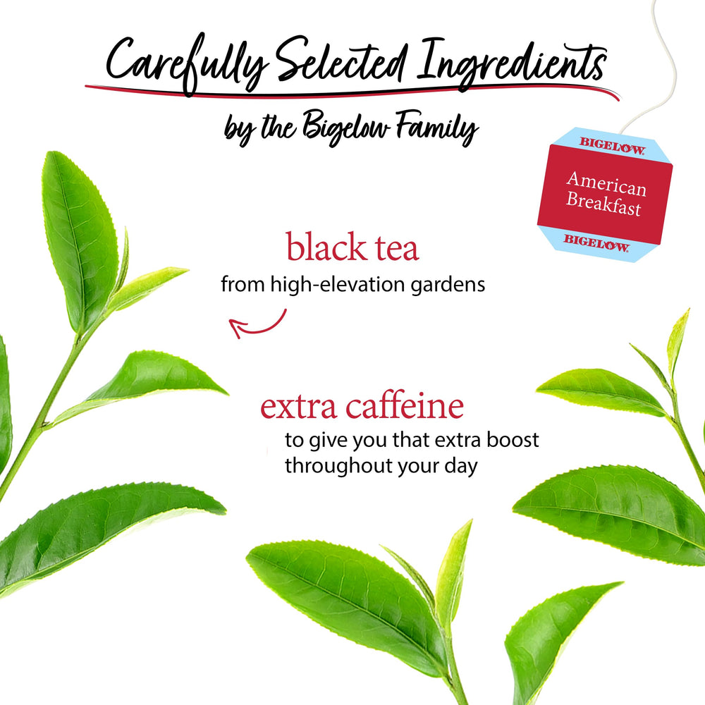 Bigelow American Breakfast Tea steaming cup demonstrates a comforting morning ritual.